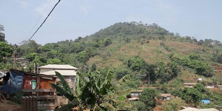 Suffocating cities: when urban deforestation triggers chaos