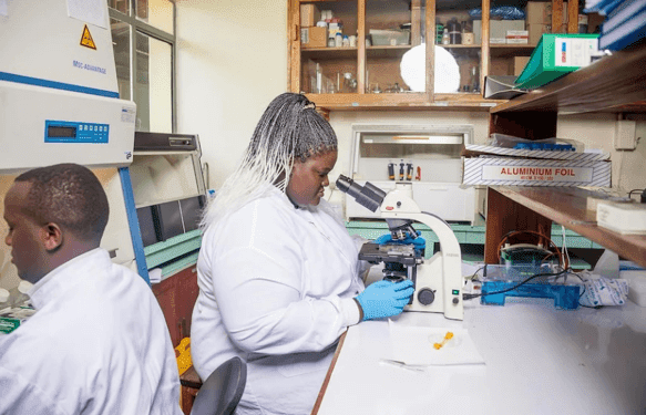 Malaria is an African problem and Africa must find the solution