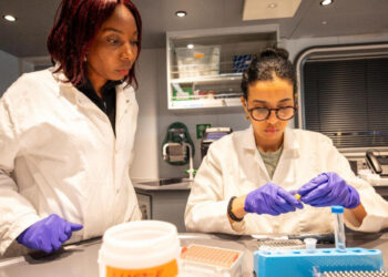 Africa’s oceans under spotlight as OceanX and OceanQuest conclude seminal ‘Around Africa Expedition’