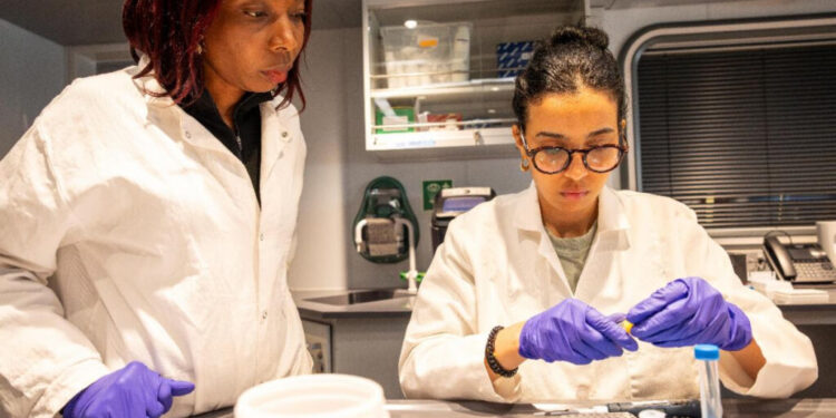 Africa’s oceans under spotlight as OceanX and OceanQuest conclude seminal ‘Around Africa Expedition’