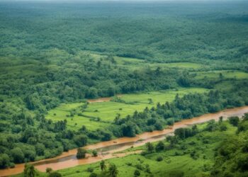 Central African Republic Innovates with Nature-Based Solutions and Reaffirms Commitment to Urban Climate Resilience
