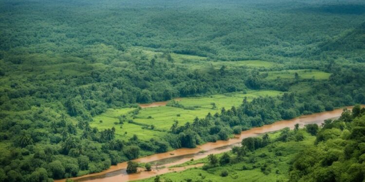 Central African Republic Innovates with Nature-Based Solutions and Reaffirms Commitment to Urban Climate Resilience