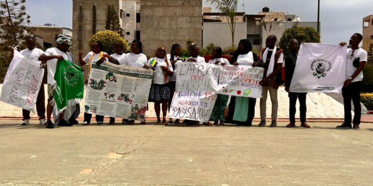 The quiet revolutionary reshaping Africa’s agricultural future