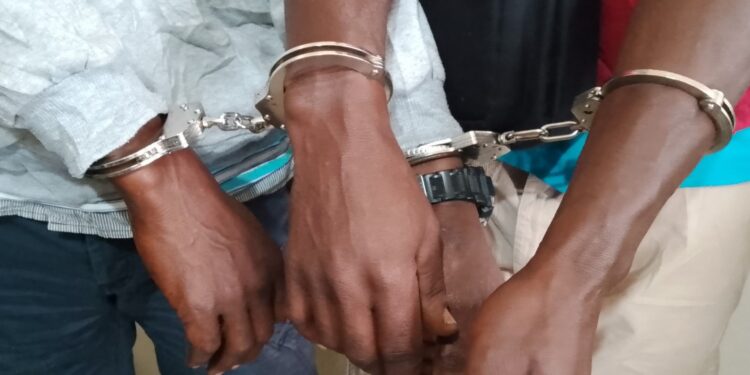 GABON : Three Arrested with Five Elephant Tusks in Port-Gentil