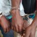 GABON : Three Arrested with Five Elephant Tusks in Port-Gentil