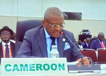 At TICAD-9 Confab: Cameroon Pushes for Synergy to Safeguard Globalisation Gains