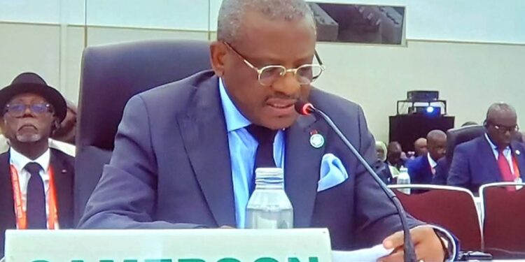 At TICAD-9 Confab: Cameroon Pushes for Synergy to Safeguard Globalisation Gains