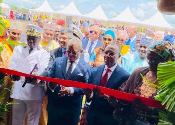 Cameroon bets on bauxite: Dion Ngute launches Minim-Martap project