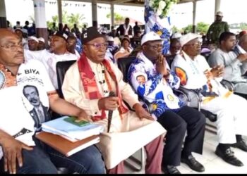 Okie Johnson fires up Nguti: 10,000 votes pledged for Biya