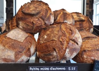 From cassava to bread: the human struggle behind Cameroon’s local flour revolution