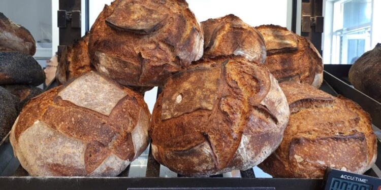 From cassava to bread: the human struggle behind Cameroon’s local flour revolution