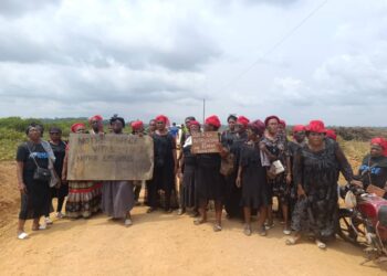 Statements without answers: AFRISE women protest land seizures amid Socapalm replanting
