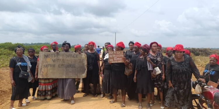 Statements without answers: AFRISE women protest land seizures amid Socapalm replanting