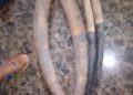GABON : Libreville Special Court Convicts Four Ivory Traffickers
