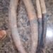 GABON : Libreville Special Court Convicts Four Ivory Traffickers