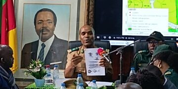  ‘You Own It, Stay Out’: State Defends Mining project as Timber Looting Sweeps DJOKO Forest