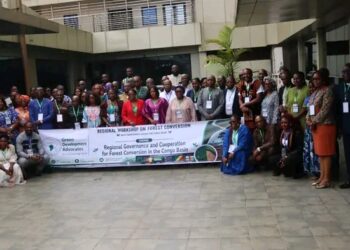 Voices from the Canopy: The Battle to Stop the Quiet Disappearance of the Congo Basin