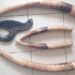 GABON : Two Suspected Ivory Traffickers Arrested in Libreville