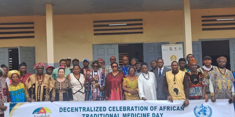 The Unlocked Potential: Why Modernizing Cameroon’s Traditional Medicine Needs Global Support