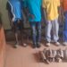 Gabon : Three People Arrested and Six Elephant Tusks Seized in Ovan