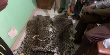 The “Panthers of Gabon”: A Threatened Symbol of the National Football Team